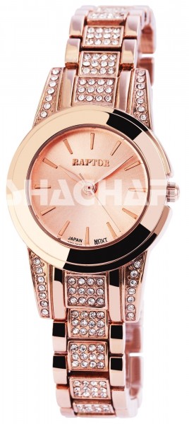 Raptor Damen - Uhr Metall Armbanduhr Strasssteine Analog Quarz RA10144